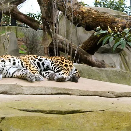 In Elegant And Charming 3-bedroom Near Bois De Vincennes