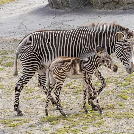 Prázdninový dům In Elegant And Charming 3-bedroom Near Bois De Vincennes Paříž