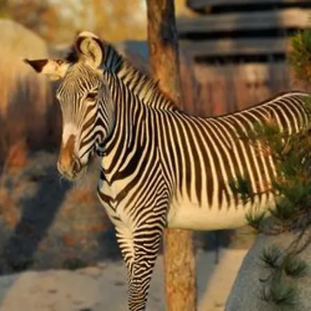 Prázdninový dům In Elegant And Charming 3-bedroom Near Bois De Vincennes *